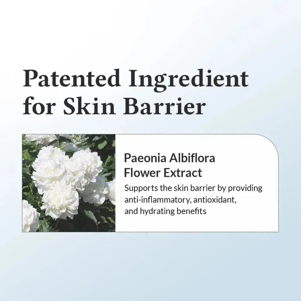 Dr ALTHEA - 147 Barrier Cream, Daily Skin Barrier Repair Care - 50ml